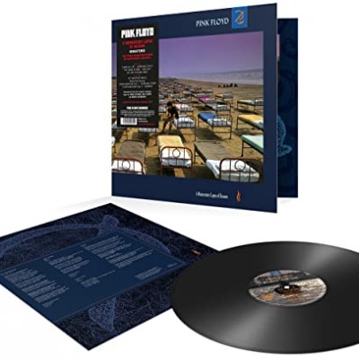 A Momentary Lapse Of Reason (Remastered 180gr vinyl)