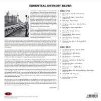 ESSENTIAL DETROIT BLUES-Big Maceo Merriweather,Playboy Fuller,Calvin F