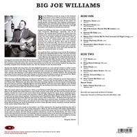 Big Joe Williams And His Nine String Guitar