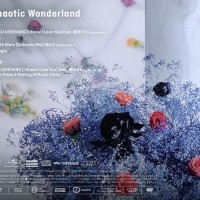 Chaotic Wonderland A