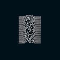 Unknown Pleasures (180gram vinyl)