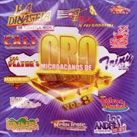 MICHOANOS DE ORO VOL.1-Tierra Cali,Los Player's,Los Ander's...